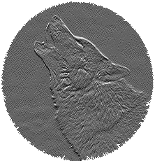 wolf coin